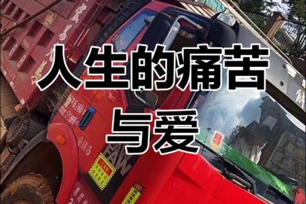 命运无常，浮世如梦——生命的脆弱与坚韧之歌