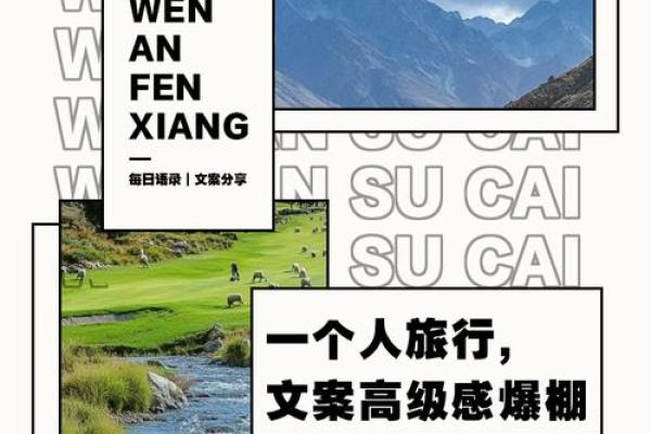 恨命天涯：追寻自由与自我的孤独旅程