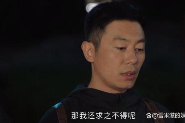 秦朝的兴衰：灿烂背后的短暂梦想