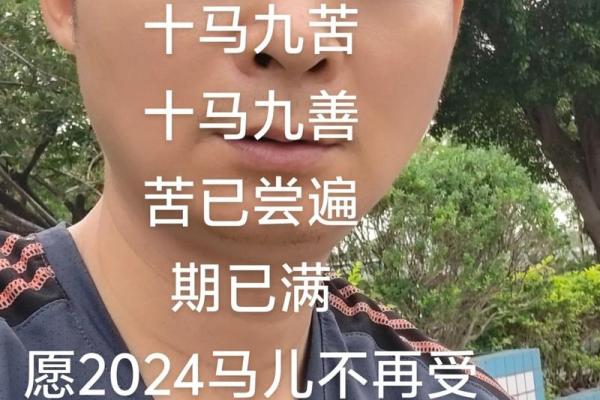 1974年属马之人的命运特点与人生指导