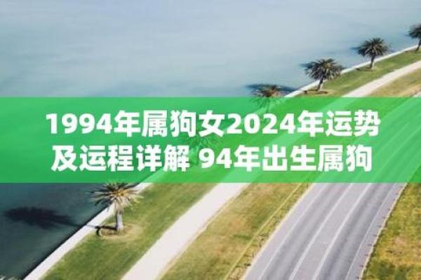 探索1994年出生的狗的命运与性格特征