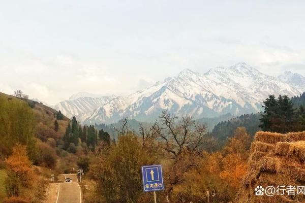 命运的波折：为何我总是行走在坎坷的道路上
