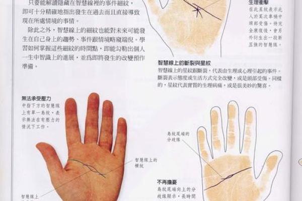 女人手相解析：如何从掌纹看出你的命运与性格