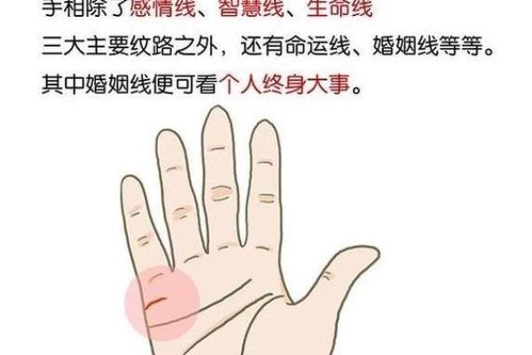 女人手相解析：如何从掌纹看出你的命运与性格