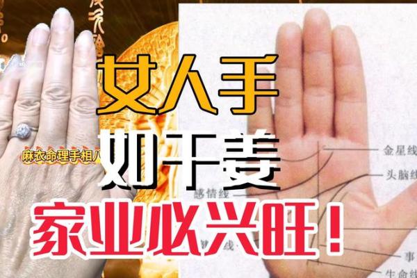 浅手相透视：命理中的福气与潜力之道
