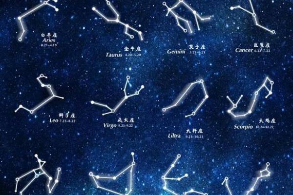全星座揭秘：你的命运由星辰而定！