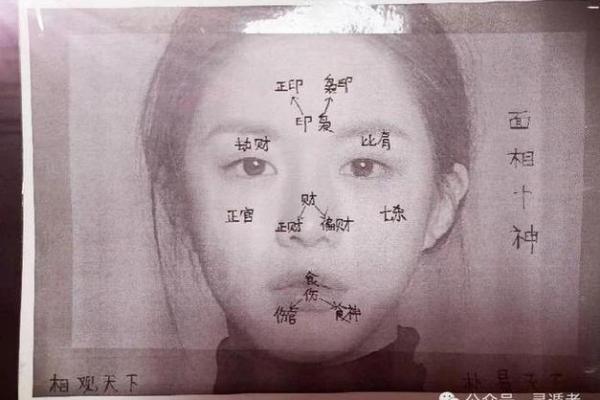 命理中的缺金缺水：象征与启示，助你找到人生方向