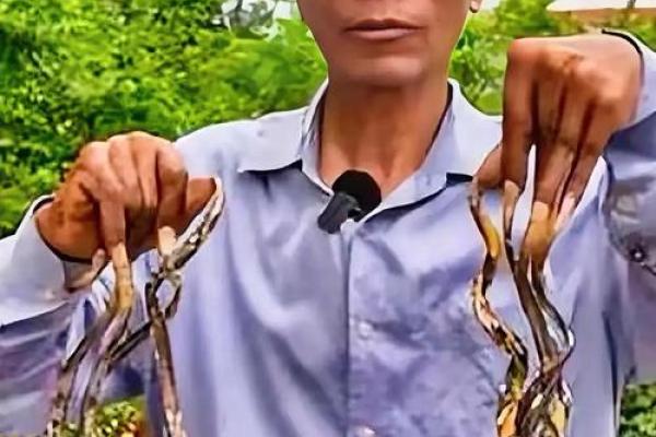 你的指甲形态暗藏命运秘密，了解它们揭示的不为人知的真相！