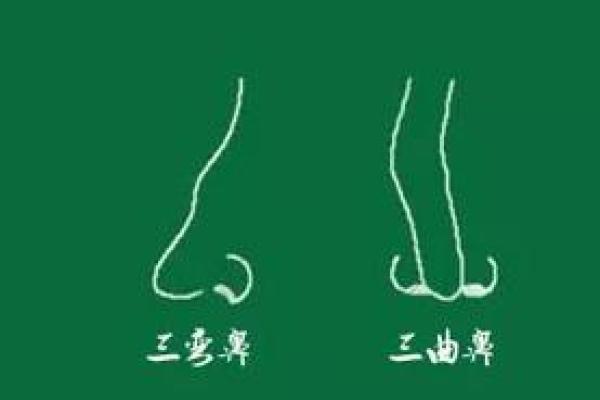 女人大鼻孔命理解析：从面相看你的性格与运势