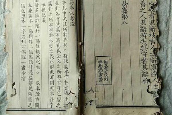 1999年属兔人的命理解析与五行缺失探讨