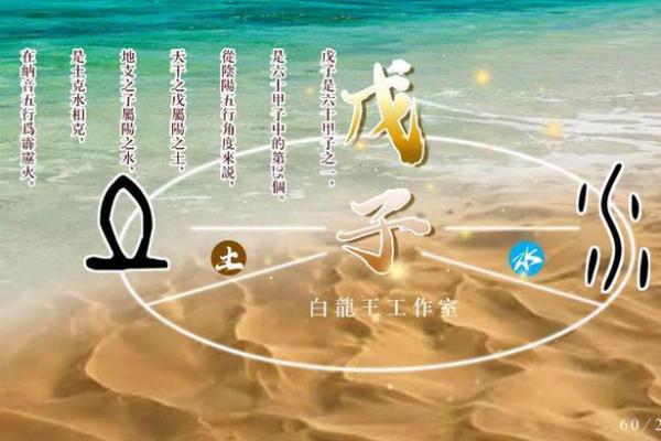 1990年土命：揭秘土命人的命理与生活智慧