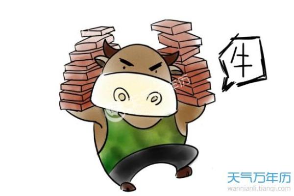 1998年属牛的命运分析：走过风雨，迎来辉煌人生！
