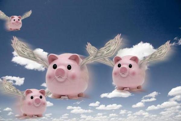 40岁属猪人的命运解析:财富与幸福的双重享受 40岁属猪人的命运解析:财富与幸福的双重享受