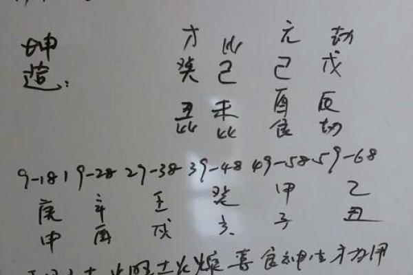 1997年1月12日出生者的命运与性格解析
