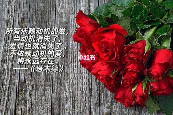 为什么命里没有帅哥?探秘爱情与幸福的真谛 为什么命里没有帅哥?探秘爱情与幸福的真谛