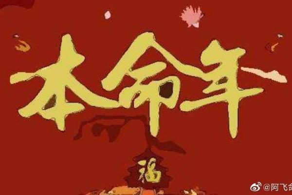 1984年出生的鼠年命缺什么？探秘人生的补救之道