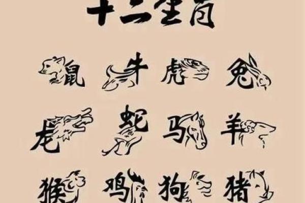 揭秘2021年命运，生肖运势全解析，如何趋吉避凶？
