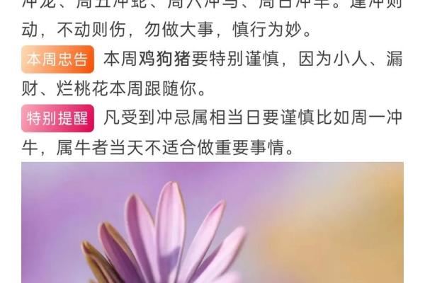 揭秘2021年命运，生肖运势全解析，如何趋吉避凶？