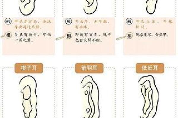 67年羊的命理解析：性格、缺陷与完美人生的追寻