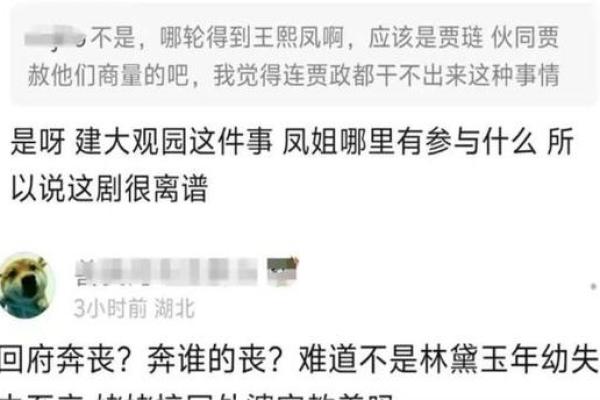 解读王熙凤命格：红楼梦中的权谋与豪情