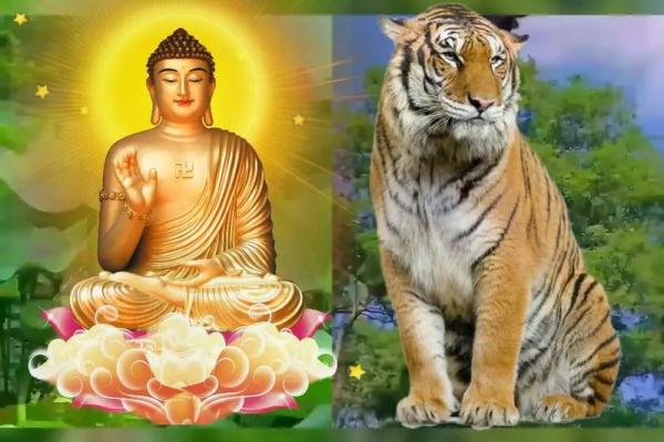 1998年属虎人的命运与缺失分析