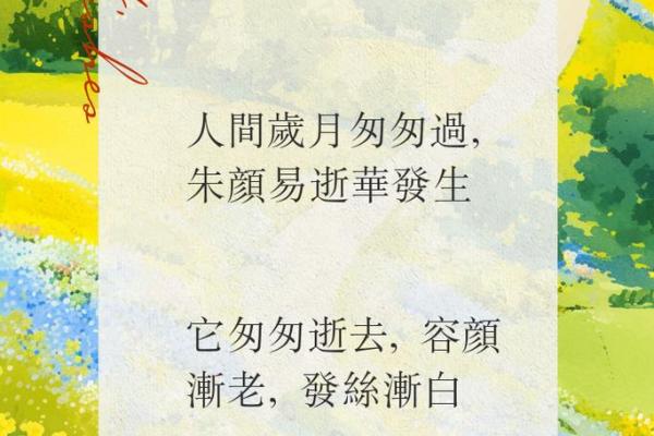 戊午之女：岁月流转中的独特命运与优雅人生