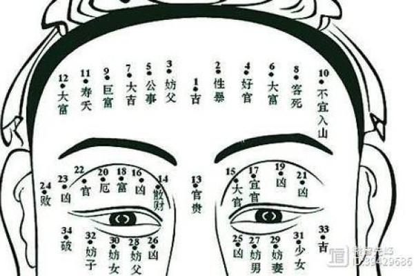 从面相解析富贵命男性的独特特征与命运轨迹