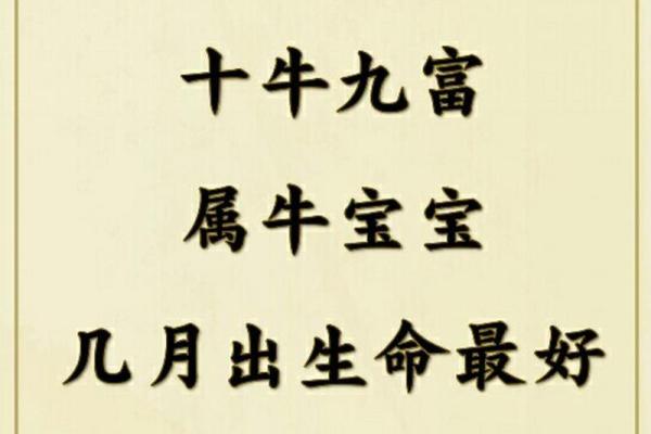 2010年出生的牛命运解析：欣赏他们独特的性格与生活智慧