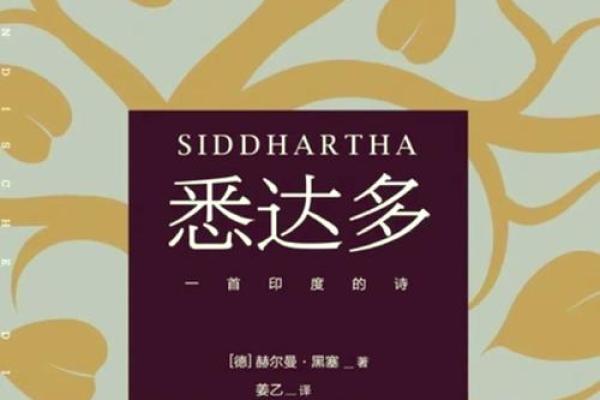 走路拖拉脚的人生哲学：慢步修行中的智慧与心态