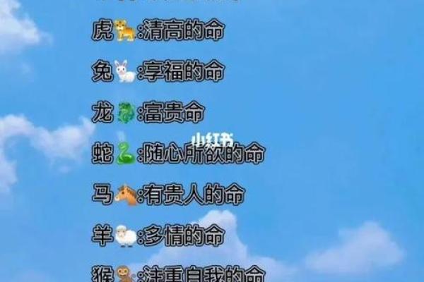 2007年属什么命：探秘2007年的生肖特征与命运解析