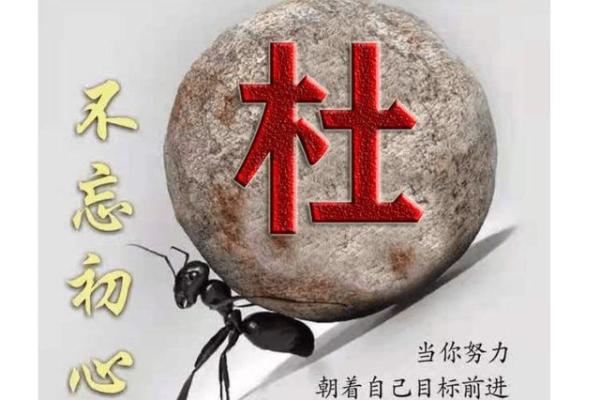 丙寅丁卯命理解读：男孩命运的奥秘与方向选择