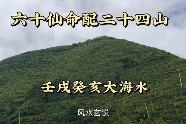 探秘癸亥仙命配坐山的奥妙,寻找生命中的最佳伙伴 探秘癸亥仙命配坐山的奥妙,寻找生命中的最佳伙伴