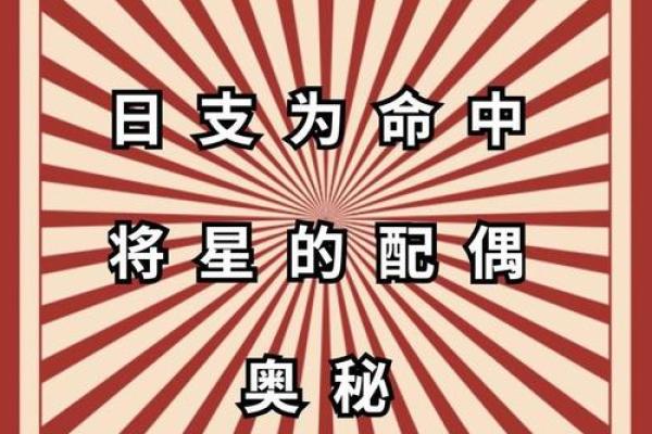 11年命理解析：揭示你的命运与性格的奥秘