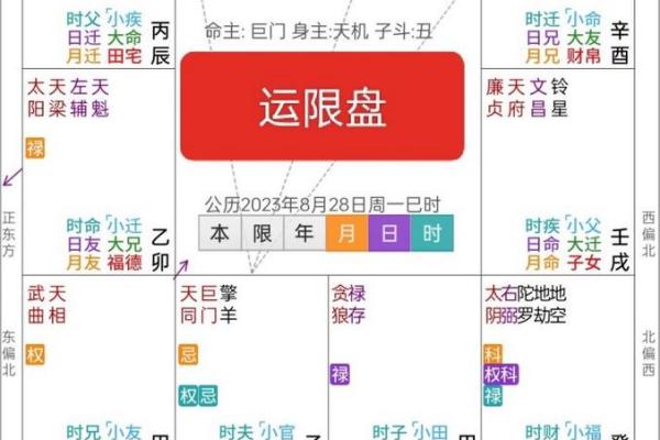 揭秘紫微命格：为什么这些女性能在职场中脱颖而出