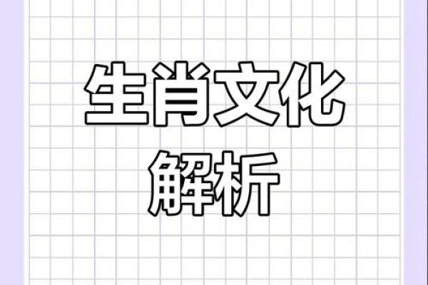 23岁是什么命属什么生肖？探索命运与生肖的奥秘