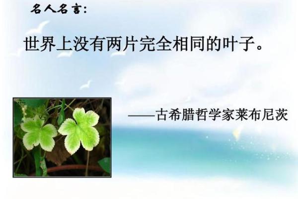 探索“命”的意义:生命的哲学与我们的存在 探索“命”的意义:生命的哲学与我们的存在