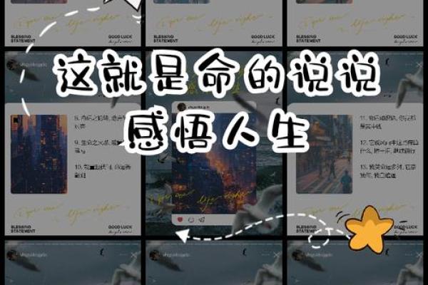 不管发生什么，命运总是如此安排——我的人生感悟