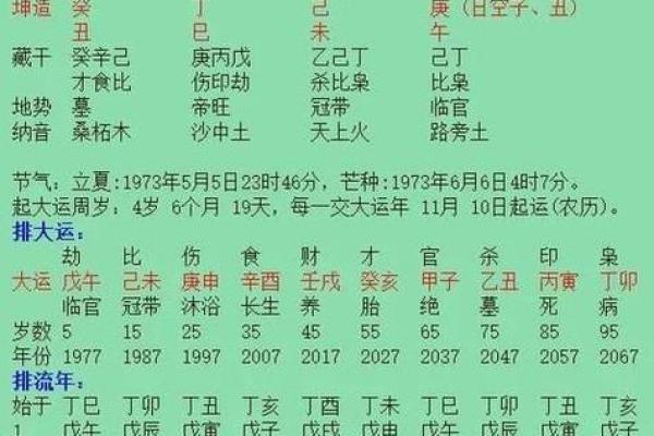 探索土命人的命格：八字中的稳重与厚实人生