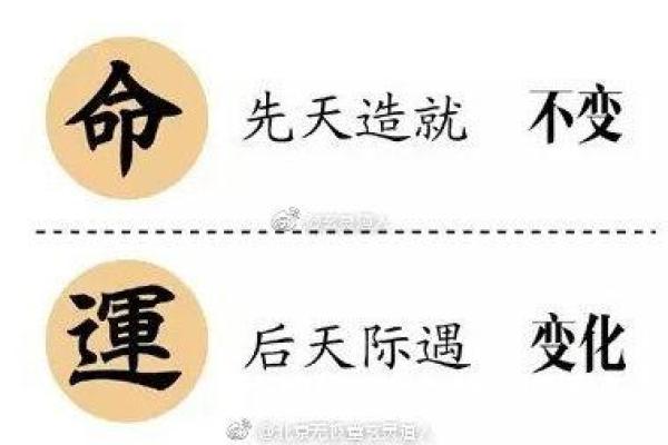 解密《原神》：五命与六命的终极区别与攻略技巧