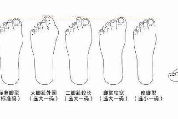 脚趾长短与命运:如何通过脚趾形状解密人生轨迹 脚趾长短与命运:如何通过脚趾形状解密人生轨迹