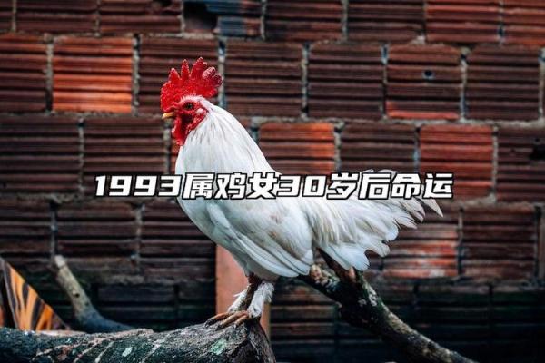 1981年属鸡女性命运解析：幸福与挑战并存之路