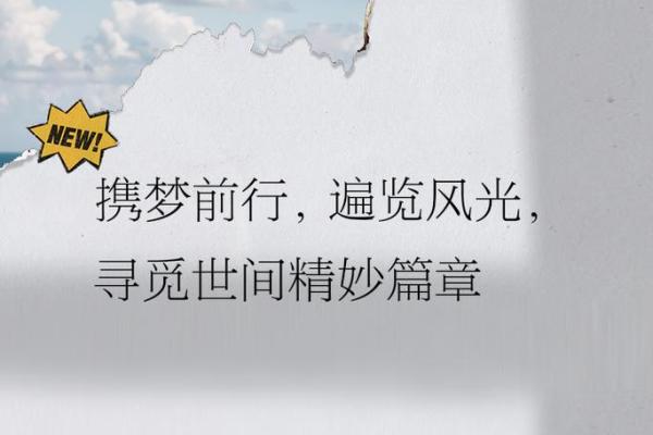 探秘替命句子的魅力与运用