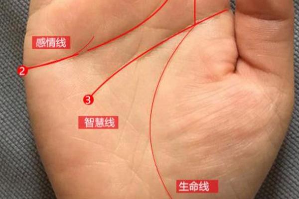 23号出生的命运解析：探索独特个性与人生轨迹