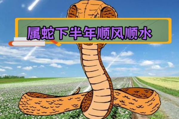 2001年出生的蛇命之人：如何弥补缺失的运势与能量