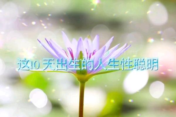 1999年属什么命?探索男生的命理与人生之路 1999年属什么命?探索男生的命理与人生之路