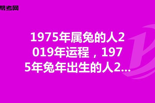 探秘六三年属兔人的命运与性格特征，一起走进兔年的神秘世界！