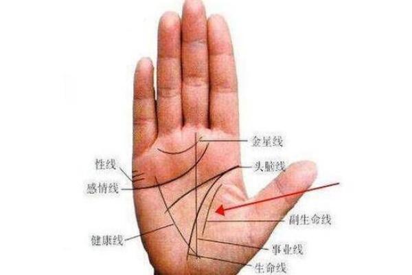 揭秘男人手纹：好运与命运的秘密武器！