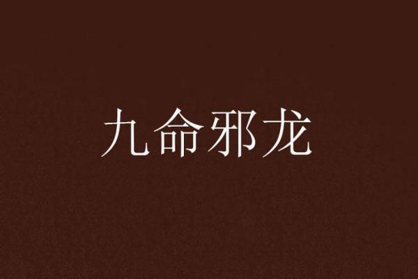 心有九命：当命运与爱的交织成为心灵的挣扎