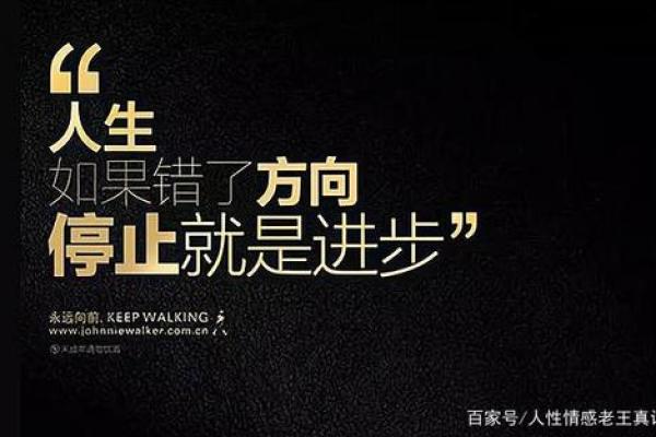 2008年——命运的交响曲与人生的多元属性 2008年——命运的交响曲与人生的多元属性