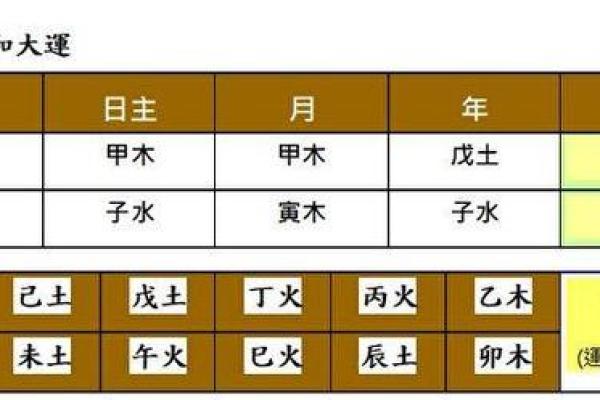 通过生辰八字解析命格深意，揭示人生玄机！